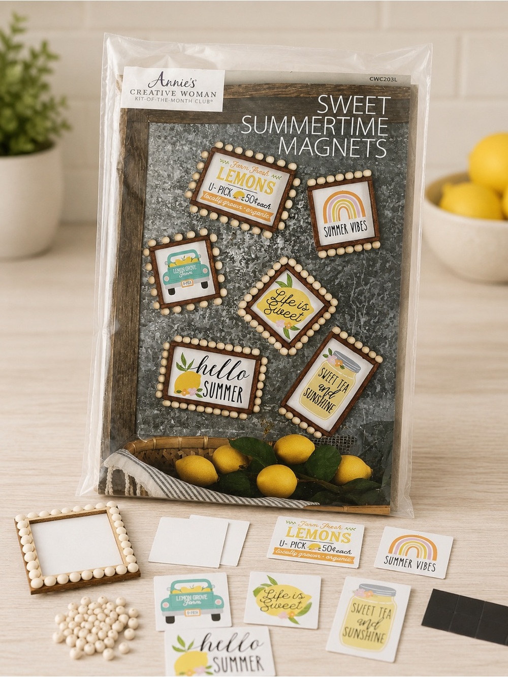 NWT Annie’s Creative Woman Sweet Summertime DIY Magnet Craft Kit